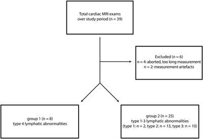 Thoracic lymphatic anomalies in patients with univentricular hearts: correlation of morphologic findings in isotropic T2-weighted MRI with the outcome after fontan palliation